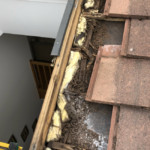avant Rénovation toiture et remplacement d'un VELUX® à Divonne les bains par Garnier-charpentes